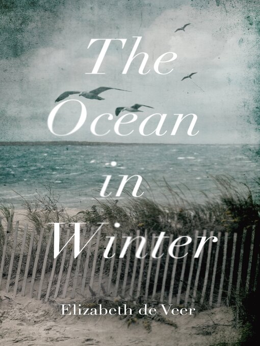 Cover image for The Ocean in Winter